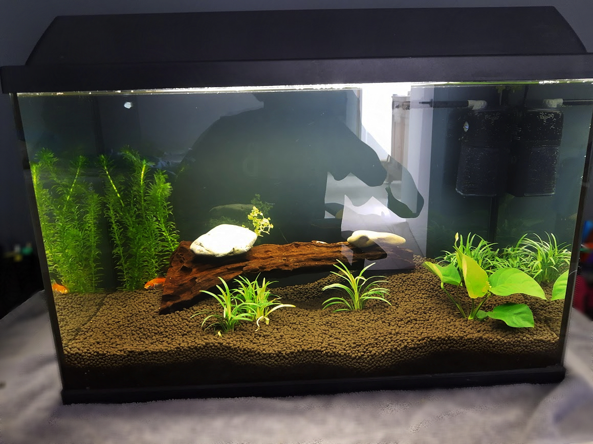 aquarium