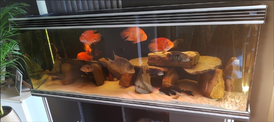aquarium